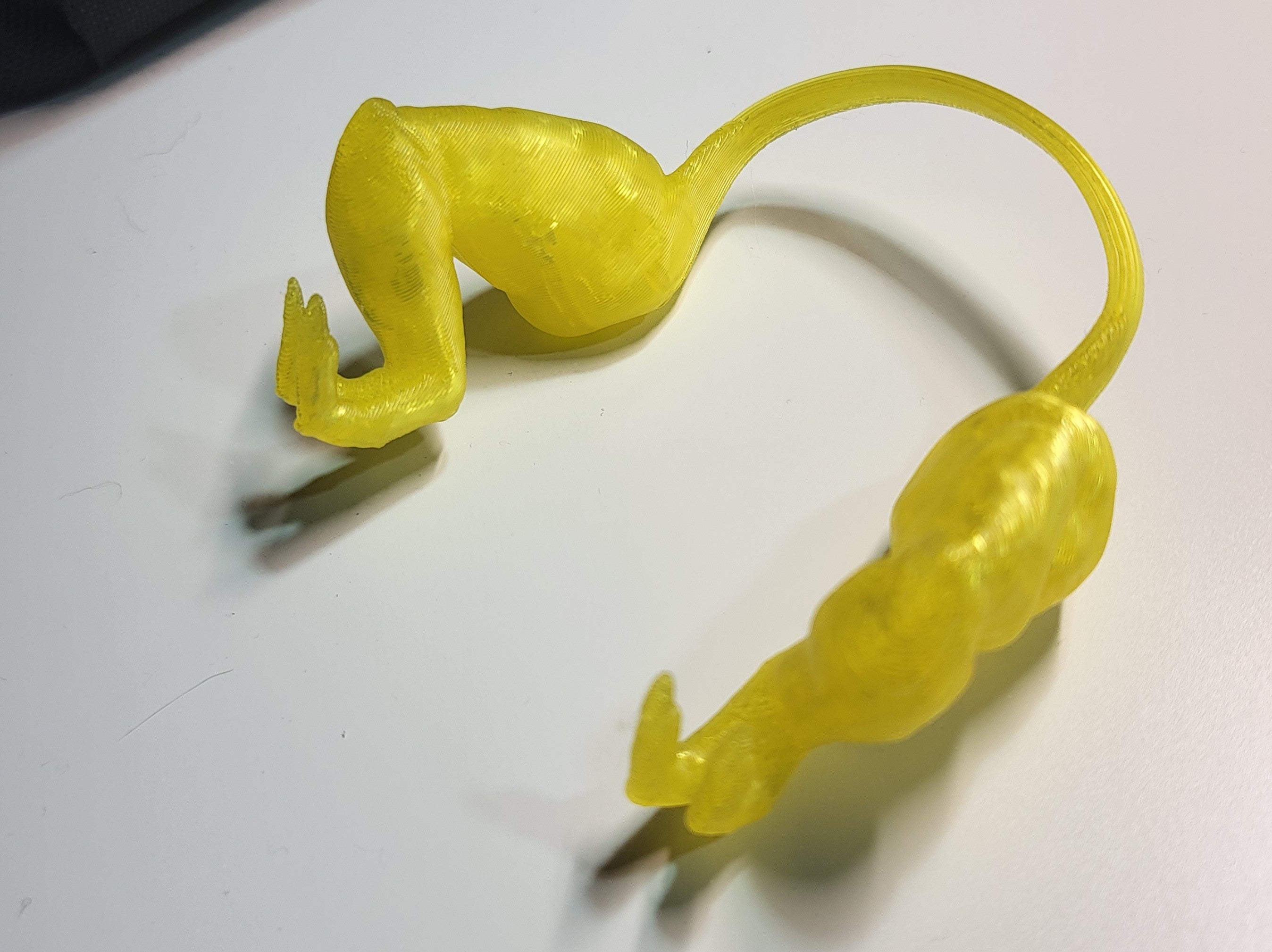Chicken Arms