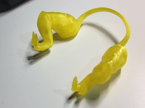 Chicken Arms